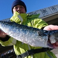 2月10日　外房勝浦川津の寒サバ〜ヤリイカリレー釣り！！。のサムネイル