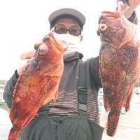 6月7日　外房勝浦川津のマハタ根魚五目！！。のサムネイル