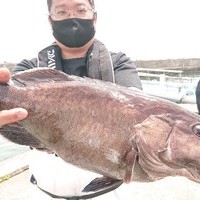 6月2日　外房勝浦川津のマハタ根魚五目！！。のサムネイル