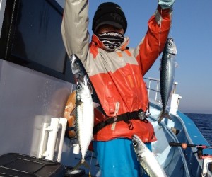 1月13日　午前船は寒サバ〜イカのリレー釣りに出船しました！！。
