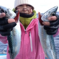 2月12日　午前船は寒サバ〜イカのリレー釣りに出船しました！！。のサムネイル