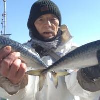 2月13日　午前は寒サバ〜ヤリイカのリレー釣りに出船しました！！。のサムネイル